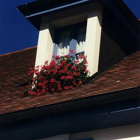 Pinocchio Hotel